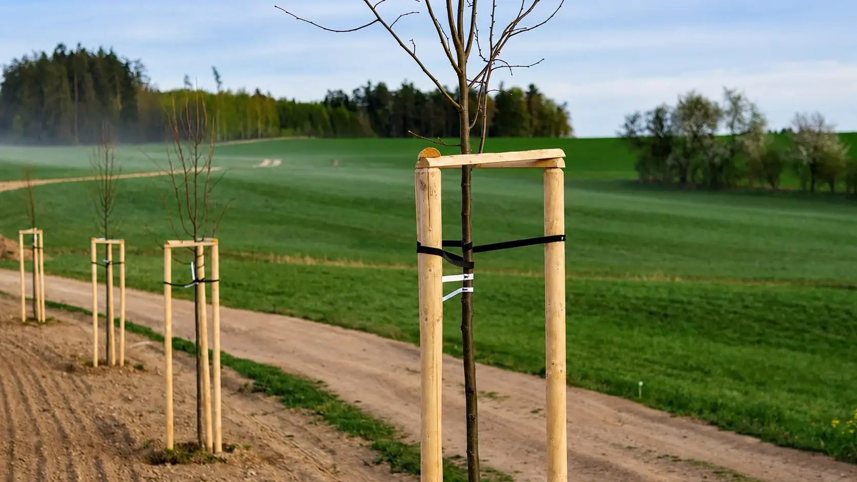 Kůly a palisády