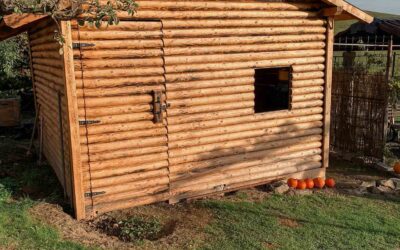 Zahradní domek, Phov 2024